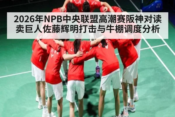2026年NPB中央联盟高潮赛阪神对读卖巨人佐藤辉明打击与牛棚调度分析（NG28）