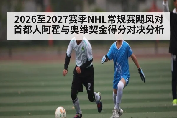 2026至2027赛季NHL常规赛飓风对首都人阿霍与奥维契金得分对决分析（NG28）